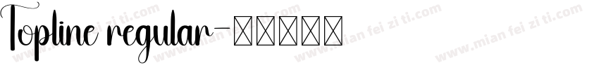 Topline regular字体转换